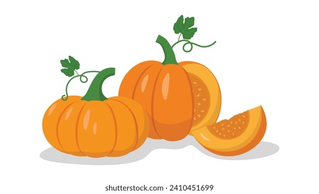 Calabazas y calabazas cortadas ilustraciones vectoriales aisladas en fondo blanco