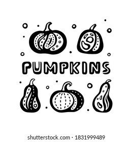 Calabazas, afiche gráfico cuadrado con letras. Conjunto de diferentes pellizcos estilizados con elementos decorativos. Ilustración de doodle negro para pantalla de seda, impresión. Vector plano aislado, fondo blanco