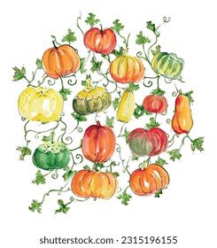 Pumpkins, squash, autumn, fall, pattern. Watercolor sketch illustration. Isolate vector.