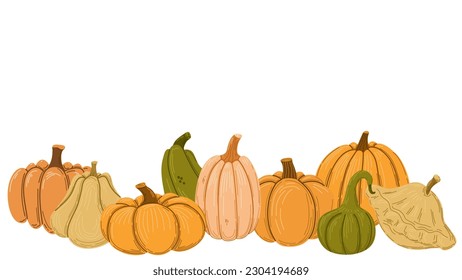 Pumpkins and squashes hand drawn vector illustration. 