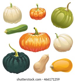 Pumpkins and squashes. Set of different kinds of pumpkins and squashes. Colorful picture.