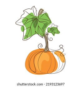 Pumpkins with stems leaves abstract bark drawing in modern Minimal art style vector illustration.Autumn harvest. Harvest Festival.Vegetables.Orange pumpkin with green leaves design element,icon, logo