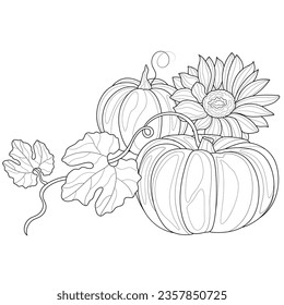 
Pumpkins and sunflowers.Coloring book antistress for children and adults. Illustration isolated on white background.Zen-tangle style. Hand draw