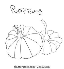Pumpkins with text isolated on white background. Autumn holiday creative vector illustration.