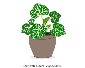 pumpkins tree on a white background.