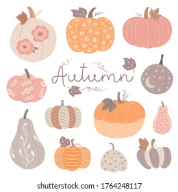 Pumpkins of various shapes and colors. Decorated pumpkins in pretty pastel colors.  Thanksgiving and Halloween Elements.