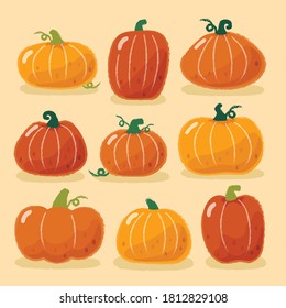 Pumpkins various shapes. Thanksgiving and Halloween Elements. Autumn festival. pumpkin set
