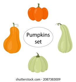 Pumpkins vector collection. A set of pumpkins of different colors and shapes.