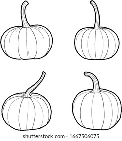 Pumpkins Vector Illustration Hand Drawn Vegetable Cartoon Art