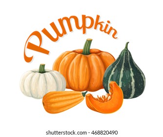 Pumpkins. Vector illustration on a white background executed in a realistic style.