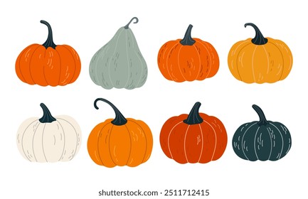 Pumpkins vector illustration. Thanksgiving Harvest