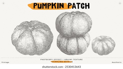 Pumpkins vector illustration. Trendy stippling photocopy effect