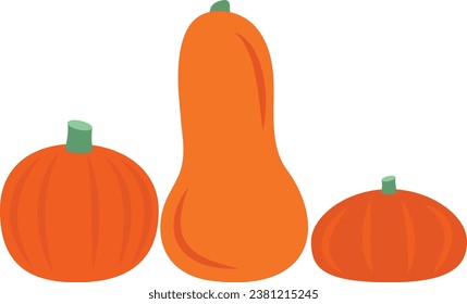 Pumpkins vector image or clip art