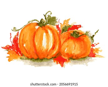 Pumpkins vector image. Happy Thanksgiving illustration in bright juicy colors. Ripe pumpkins as organic food and harvest symbol