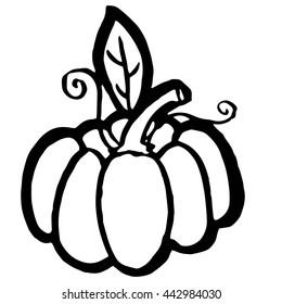 Pumpkins vegetables with leaves for thanksgiving or harvesting design. Vector version also available in gallery