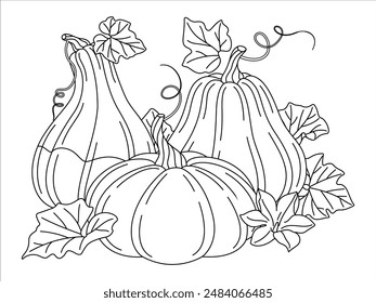 Pumpkins with vines and leaves coloring page. Fall floral arrangement with pumpkin, flower, and leaves. Hand drawn doodle style Isolated. line art Seasonal harvest Cucurbita plant. Vector illustration