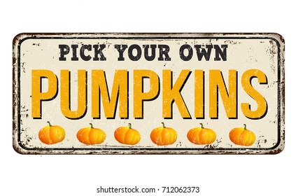 Pumpkins vintage rusty metal sign on a white background, vector illustration