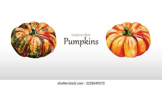 Dibujo vectorial de color de agua de calabazas diseñado para tus composiciones o decorar con tu obra de arte.