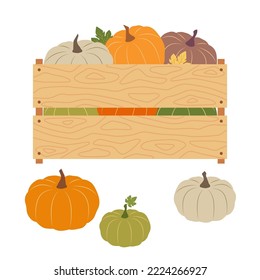 Calabazas en una caja de madera. Caja de almacenamiento de frutas y verduras. Recipiente de ilustración vectorial para el transporte de alimentos. Cosechando verduras de temporada.
