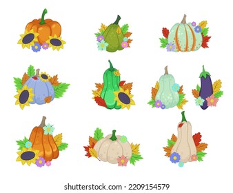Calabazas y zucchinis con ilustraciones vectoriales de flores. Colección de dibujos animados de calabazas, zucchinis y berenjenas con hojas de otoño y girasoles. Naturaleza, verduras, concepto otoñal