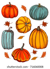 pumpkins,autumn leaves set for design isolated on white background vector illustration freehand drawing