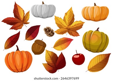 pumpkins,autumn leaves,acorn,rowan,pine cone colorful symbols isolated on the white background vector illustration.autumn festival decor object template.