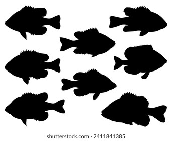 Pumpkinseed fish silhouette vector art white background