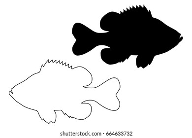 Pumpkinseed Sunfish silhouette vector, (Lepomis gibbosus), 