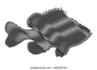 Pumpkinseed Sunfish silhouette vector, (Lepomis gibbosus), 