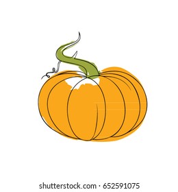 pumpkin-vector