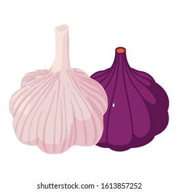 Pungent vegetable icon. Isometric illustration of pungent vegetable vector icon for web