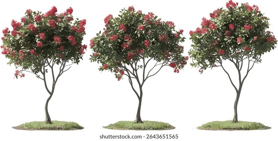 Punica granatum trees set, vector illustration, front-facing street trees, botanical outdoor plants, pomegranate foliage, landscape tree design, isolated cutout, nature background.
