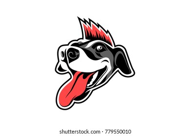 Punk dog with Red Hair Mohawk Style