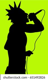 cantante de punk rock