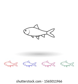 Puntius carnatius multi color icon. Simple thin line, outline vector of fish icons for ui and ux, website or mobile application