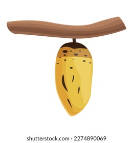 Pupa cocoon icon cartoon vector. Natural leaf. Thread life