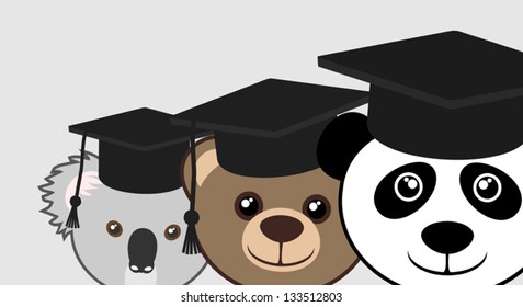 Pupil bear