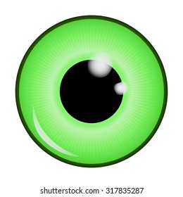 The pupil of the eye, eye ball. Realistic vector illustration isolated on white background.