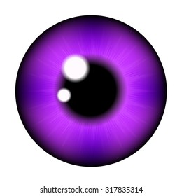 The pupil of the eye, eye ball. Realistic vector illustration isolated on white background.