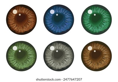 La pupila del ojo humano. Los ojos son azules, verdes y marrones y grises. Ilustración, Vector. EPS 10.