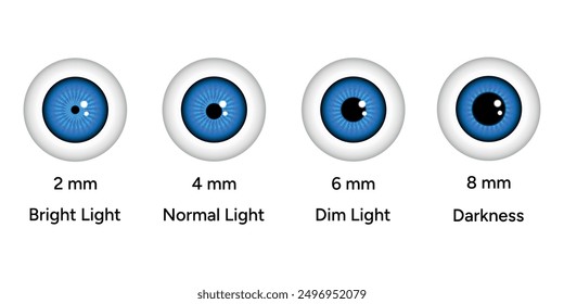 Pupil size changes by Refraction eye ophthalmology, medical information