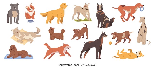 Cachorros y perros adultos, animales caninos aislados con pieles lisas jugando y siendo activos. Estilo de vida de las mascotas domésticas en casa. Vector de estilo plano