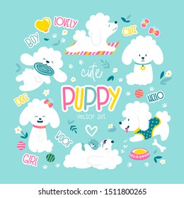 Puppies set. Funny white little poodle dogs in a daily routine. Vector illustration.