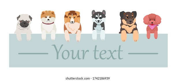 Puppies stand behind a long rectangular frame with their paws hanging. Husky, German shepherd, pug, collie, poodle, akita. Isolated vector drawing on a white background.