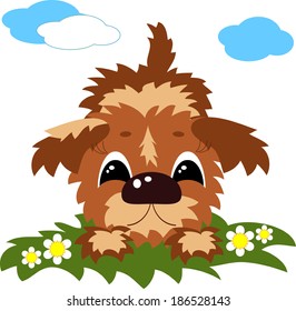Puppy .
