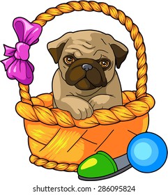 puppy