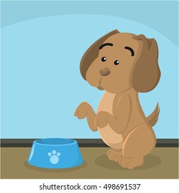 puppy asking for food