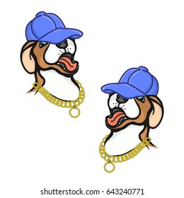Puppy in a baseball cap a white background, vector illustration