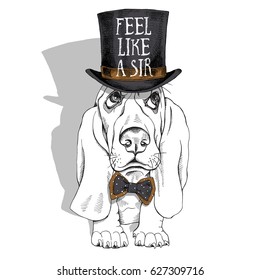 Puppy Basset Hound in a Gentleman Top hat and with bow-tie. Vector illustration.