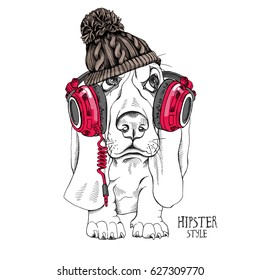 Puppy Basset Hound in a Knitted hipster hat with pom-pom and in a red headphones. Vector illustration.